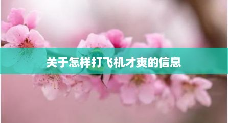 关于怎样打飞机才爽的信息