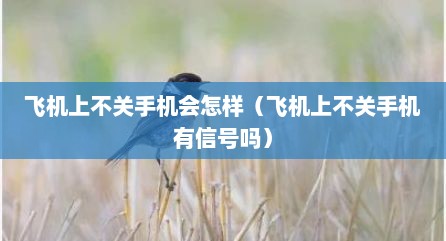 飞机上不关手机会怎样（飞机上不关手机有信号吗）