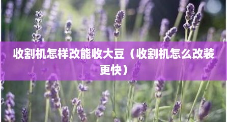 收割机怎样改能收大豆（收割机怎么改装更快）