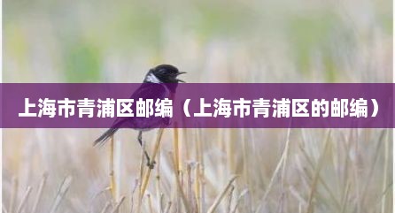 上海市青浦区邮编（上海市青浦区的邮编）