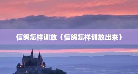 信鸽怎样训放（信鸽怎样训放出来）