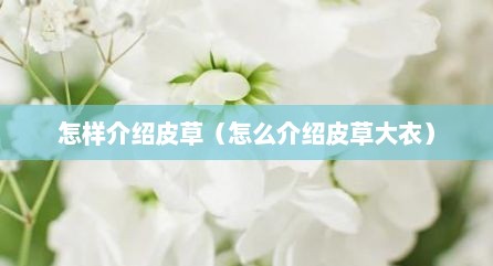 怎样介绍皮草（怎么介绍皮草大衣）