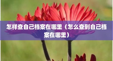 怎样查自己档案在哪里（怎么查到自己档案在哪里）