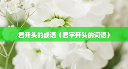 君开头的成语（君字开头的词语）