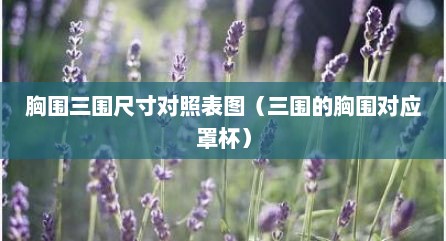 胸围三围尺寸对照表图（三围的胸围对应罩杯）