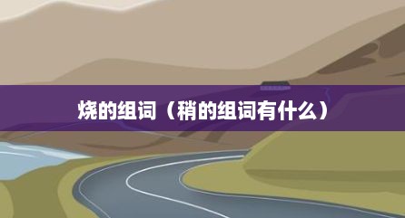 烧的组词（稍的组词有什么）