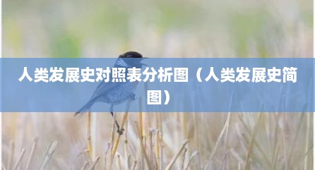 人类发展史对照表分析图（人类发展史简图）