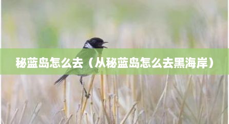 秘蓝岛怎么去（从秘蓝岛怎么去黑海岸）