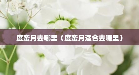 度蜜月去哪里（度蜜月适合去哪里）