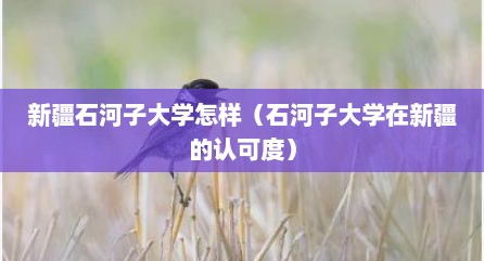 新疆石河子大学怎样（石河子大学在新疆的认可度）
