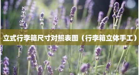立式行李箱尺寸对照表图（行李箱立体手工）