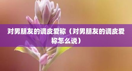 对男朋友的调皮爱称（对男朋友的调皮爱称怎么说）