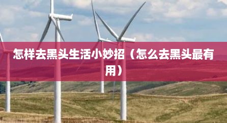 怎样去黑头生活小妙招（怎么去黑头最有用）