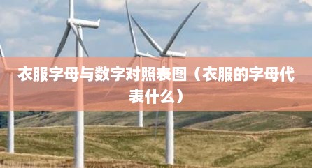 衣服字母与数字对照表图（衣服的字母代表什么）