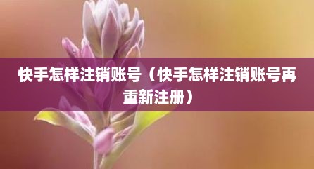 快手怎样注销账号（快手怎样注销账号再重新注册）