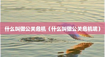 什么叫做公关危机（什么叫做公关危机呢）