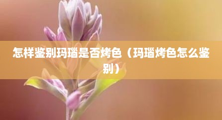 怎样鉴别玛瑙是否烤色（玛瑙烤色怎么鉴别）