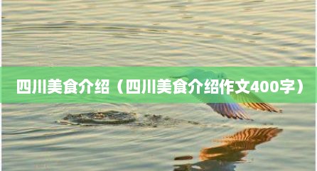 四川美食介绍（四川美食介绍作文400字）
