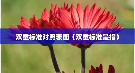 双重标准对照表图（双重标准是指）