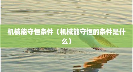 机械能守恒条件（机械能守恒的条件是什么）