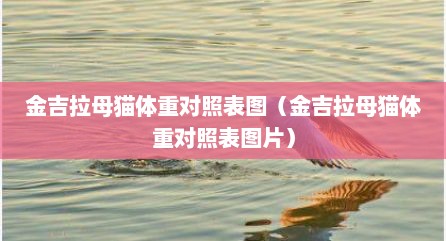 金吉拉母猫体重对照表图（金吉拉母猫体重对照表图片）