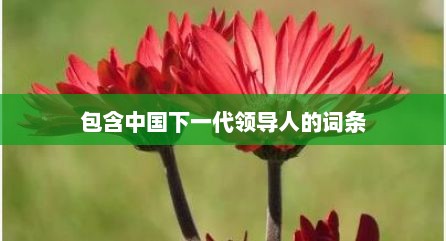 包含中国下一代领导人的词条