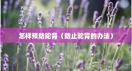 怎样预防陀背（防止驼背的办法）