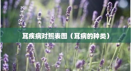 耳疾病对照表图（耳病的种类）