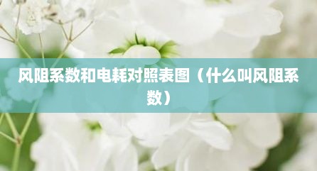风阻系数和电耗对照表图（什么叫风阻系数）