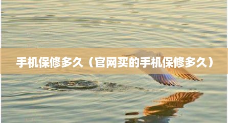 手机保修多久（官网买的手机保修多久）