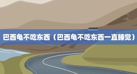 巴西龟不吃东西（巴西龟不吃东西一直睡觉）