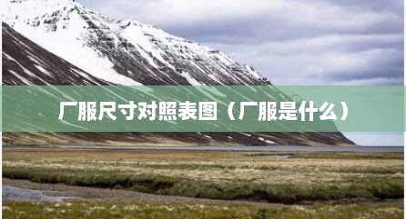 厂服尺寸对照表图（厂服是什么）