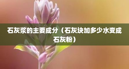 石灰浆的主要成分（石灰块加多少水变成石灰粉）