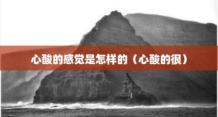 心酸的感觉是怎样的（心酸的很）