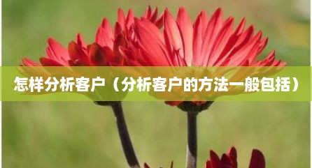 怎样分析客户（分析客户的方法一般包括）