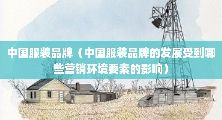 中国服装品牌（中国服装品牌的发展受到哪些营销环境要素的影响）