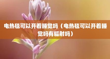 电热毯可以开着睡觉吗（电热毯可以开着睡觉吗有辐射吗）