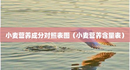 小麦营养成分对照表图（小麦营养含量表）