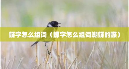 蝶字怎么组词（蝶字怎么组词蝴蝶的蝶）