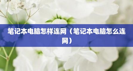 笔记本电脑怎样连网（笔记本电脑怎么连网）