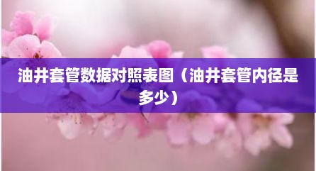 油井套管数据对照表图（油井套管内径是多少）