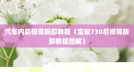 汽车内后视镜拆卸教程（宝骏730后视镜拆卸教程图解）
