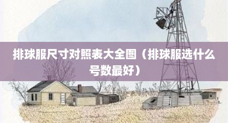 排球服尺寸对照表大全图（排球服选什么号数最好）