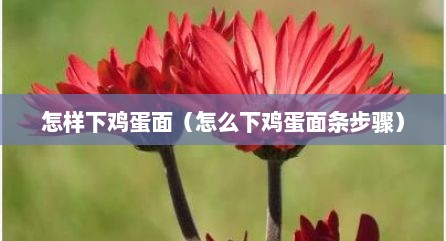 怎样下鸡蛋面（怎么下鸡蛋面条步骤）