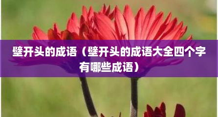 壁开头的成语（壁开头的成语大全四个字有哪些成语）