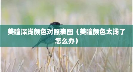 美瞳深浅颜色对照表图（美瞳颜色太浅了怎么办）