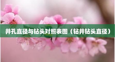 井孔直径与钻头对照表图（钻井钻头直径）