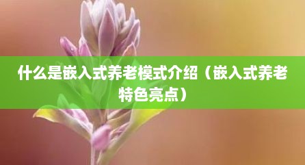 什么是嵌入式养老模式介绍（嵌入式养老特色亮点）