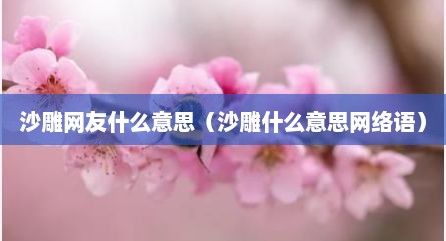 沙雕网友什么意思（沙雕什么意思网络语）