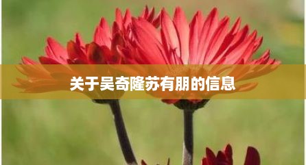 关于吴奇隆苏有朋的信息